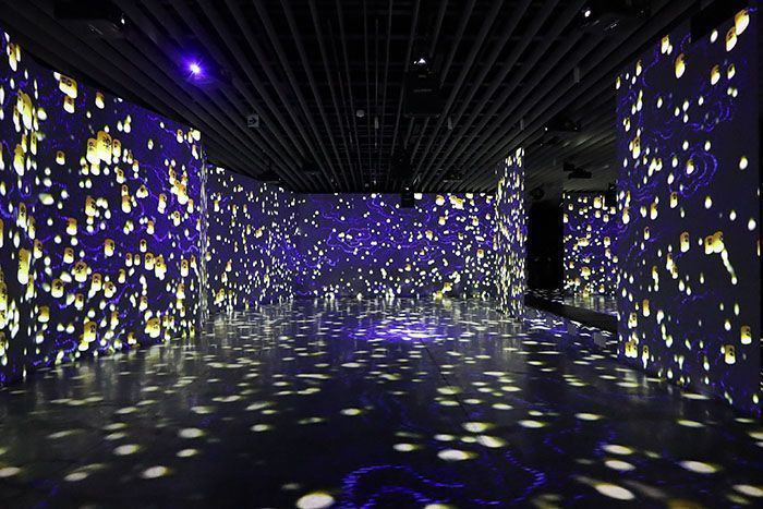 Digital Projection Dany Rose 2