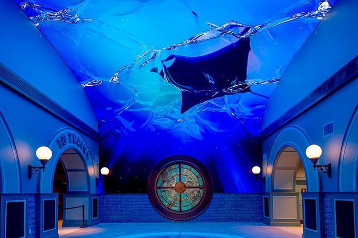 AnalogWay PicturallPro St Louis Aquarium 1