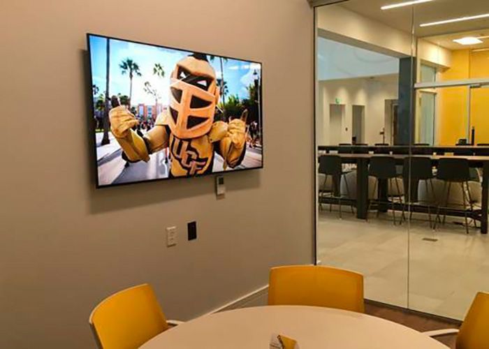 Sony UFC Bravia 1