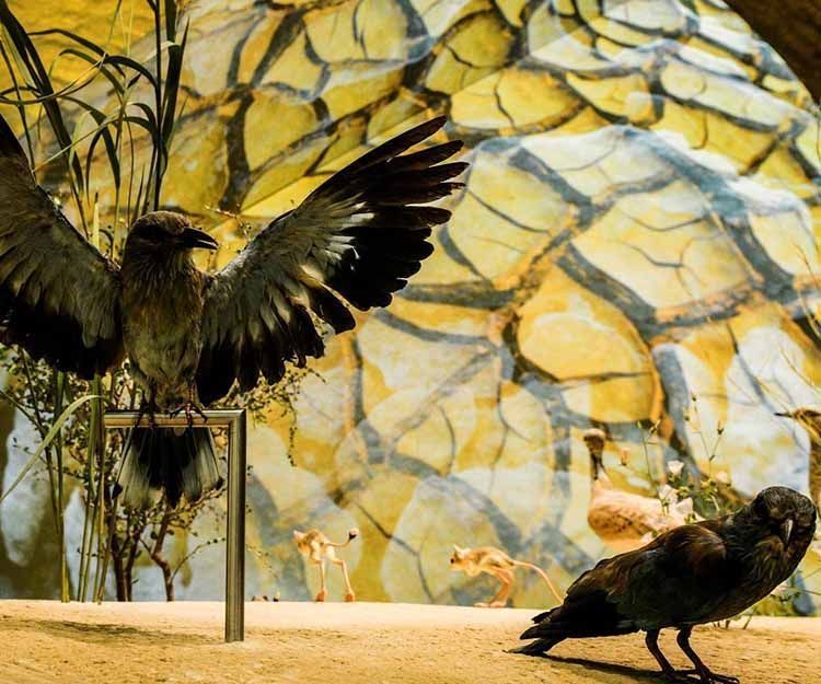 Museo Nacional de Catar 2